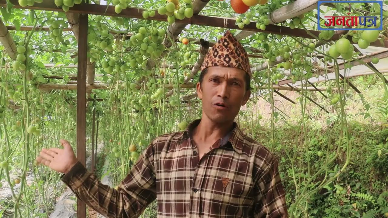नयाँबाटो- चौतारा साँगाचोकगढीको समृद्धिमा कृषि
