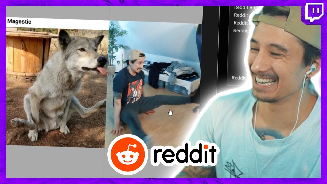 Die Coffin MEMES haben mein REDDIT übernommen | Julien Bam Twitch Highlight