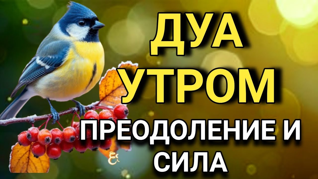 🔑🌹 ДУА УТРОМ САМЫЙ МОЩНЫЙ СТАРТ ДНЯ! 🤲✨💯