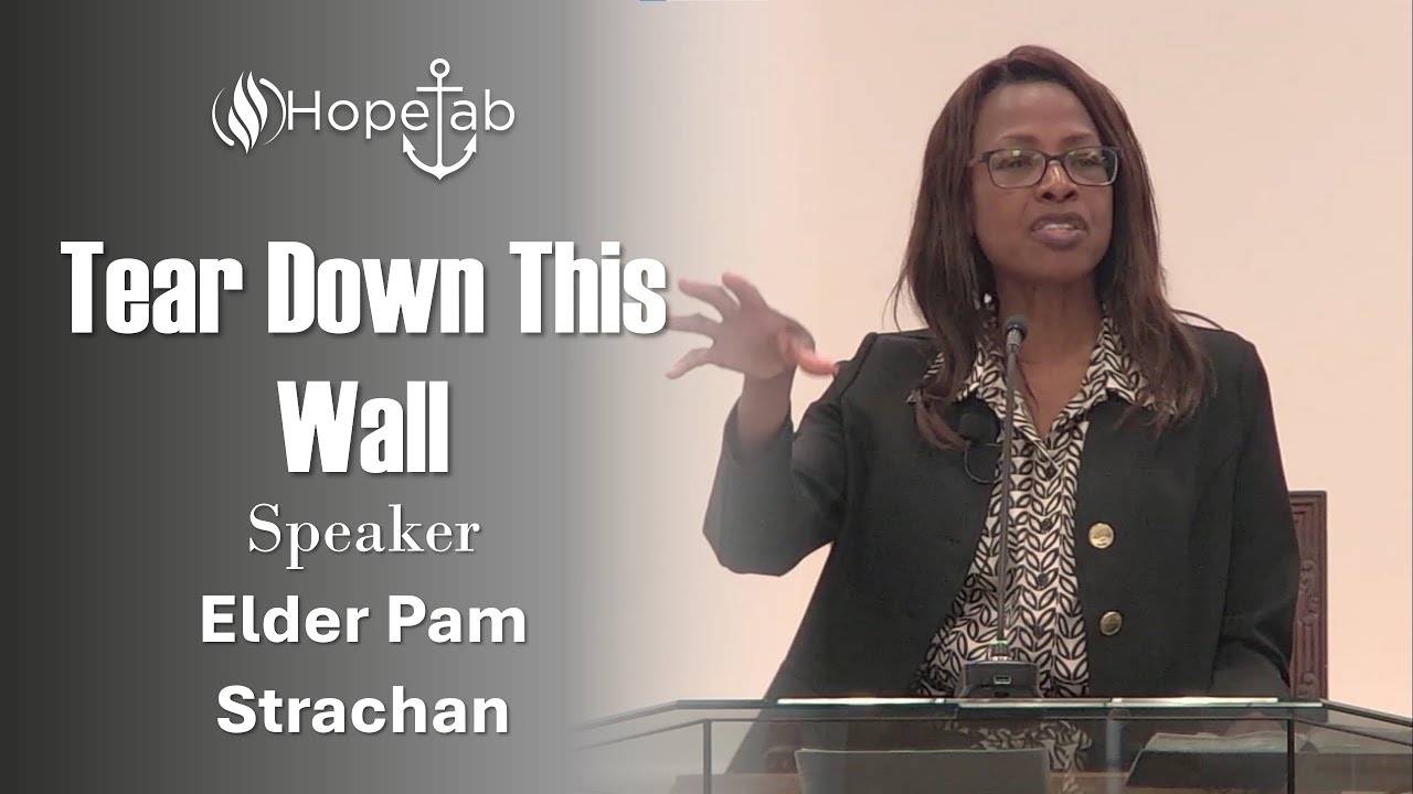 Tear Down This Wall | Pam Strachan