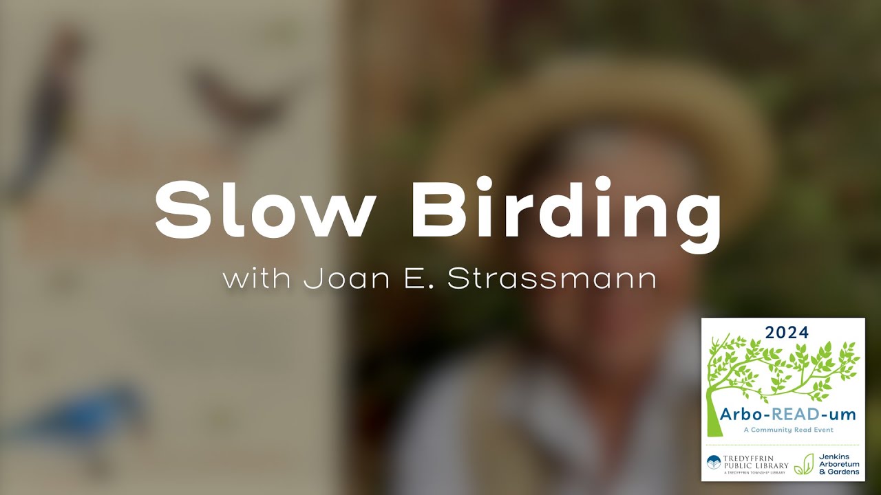 Slow Birding with Joan E. Strassmann