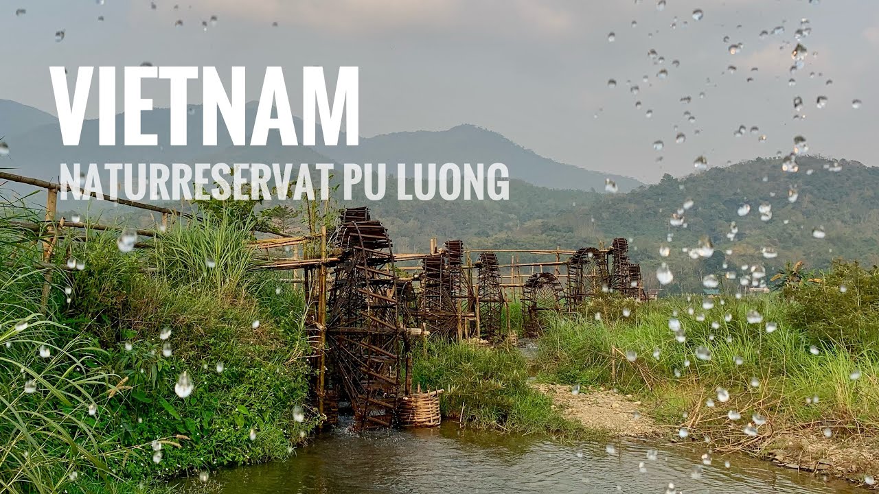 Vietnam - Gewagte Hängebrücken, Naturreservat, und die einzigartigen Wasserschopfräder in Ban Bo