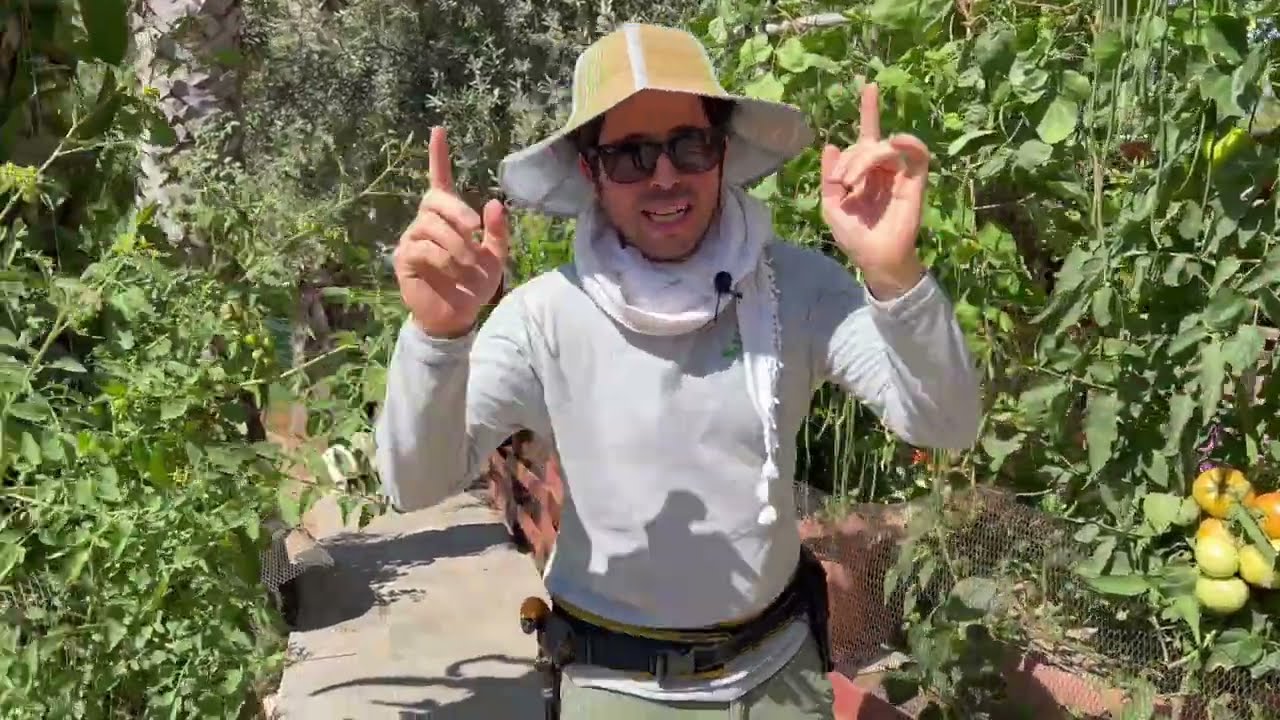כמה ירקות אפשר לגדל בעציץ ? (אחרי חודשים משתילה)