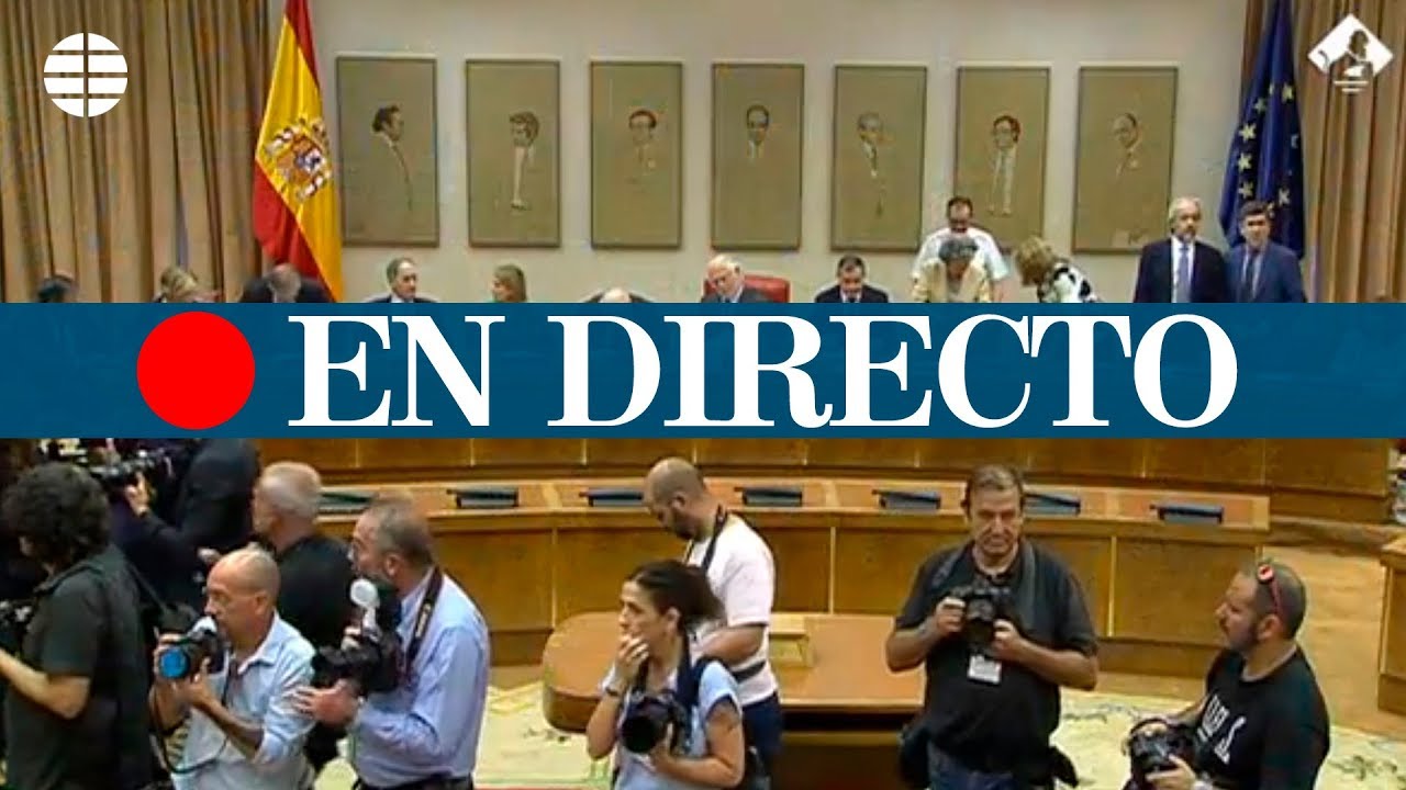 Los eurodiputados acatan la Constituci&oacute;n en el Congreso, en directo