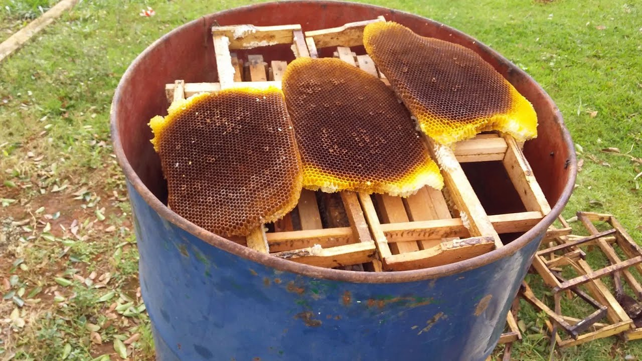 Derretedor de cera a vapor funcionando veja só 😱🐝