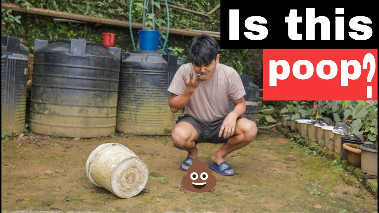 The Unwise 2 | Comedy | Naga GenZ