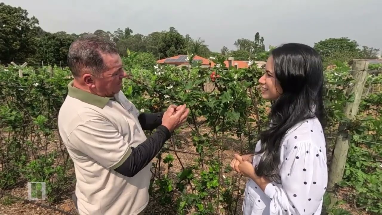 PROGRAMA REVISTA RURAL - SÍTIO SASSAFRAZ, ITUPEVA