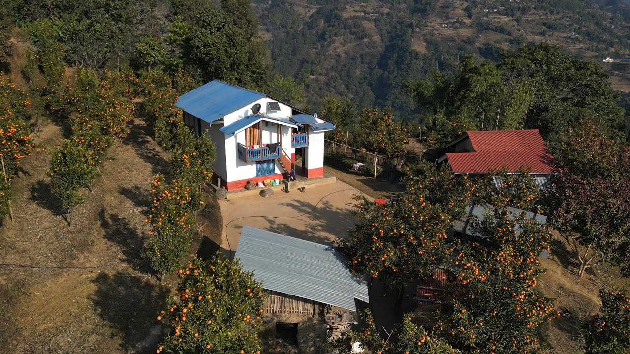 Mountain Rural Area Organic Orange Farm Visit | Village Kitchen Nepal | Nepali People in Village