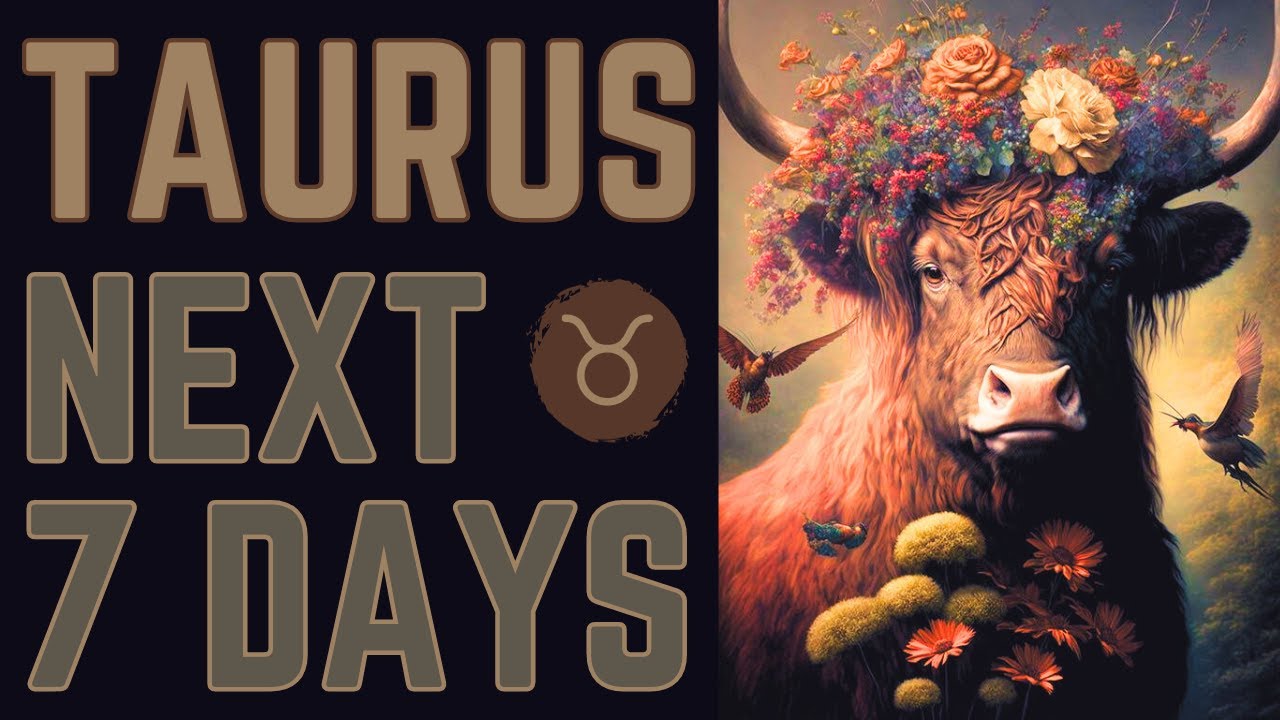 TAURUS♉️ WOW🤭 STANDING ON BUSINESS😌 RESPECTFULLY PUTTING OTHERS IN THEIR PLACE!!🫠 NEXT 7 DAYS