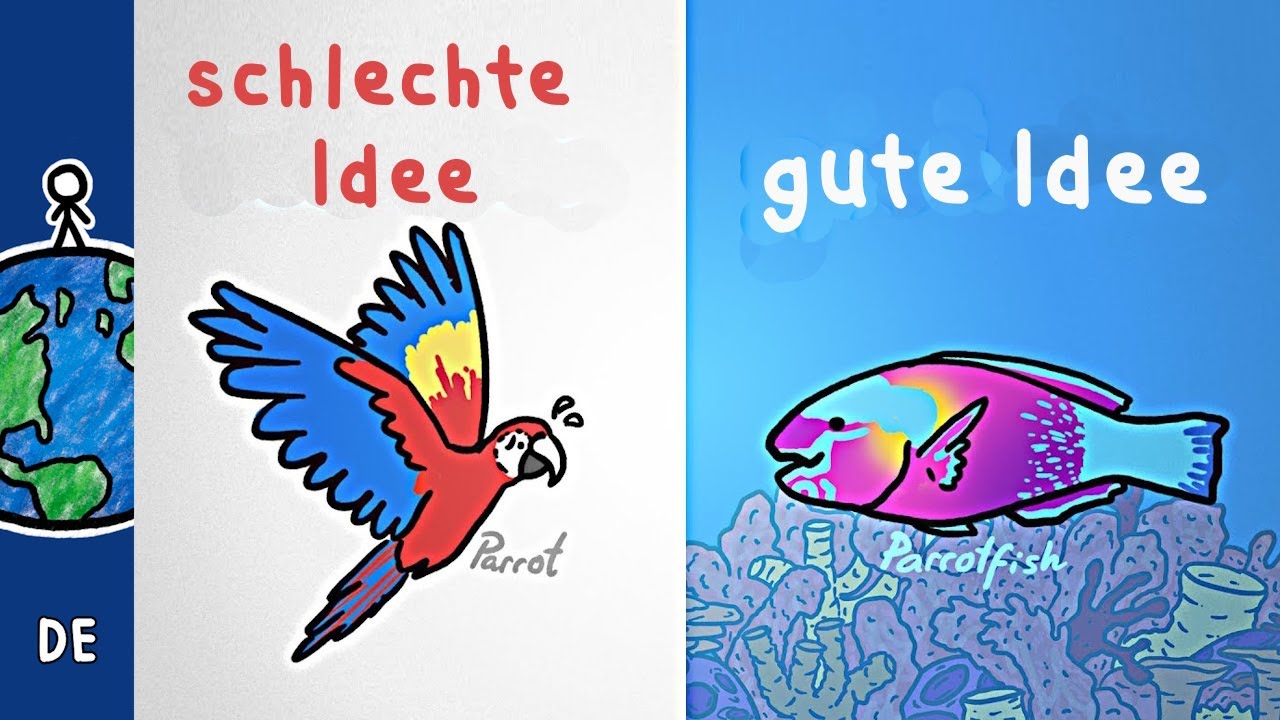 Wie Fische mit ihrer bunten Farbe davonkommen