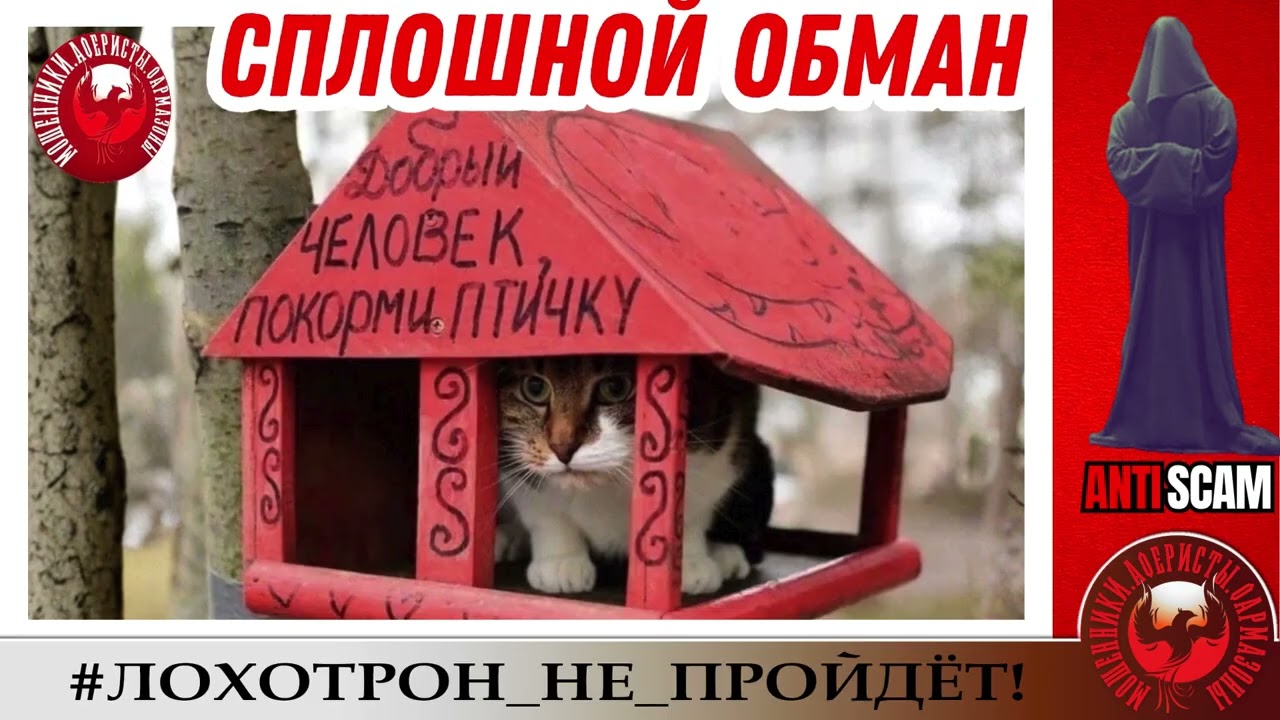 AntiFraud&mdash;Станислав: о театре и о сплошном обмане | Анализ схем