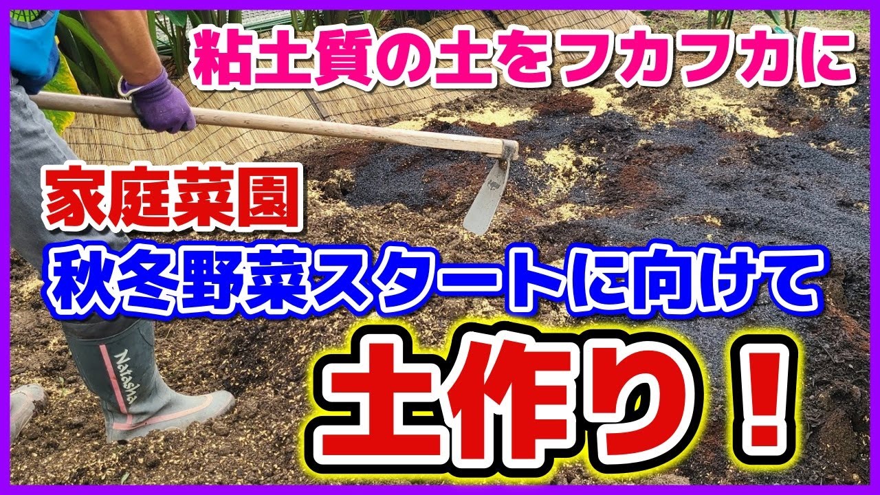 秋野菜に向けて土作り（粘土質土壌をフカフカにする）粘土質土壌対策／土壌改良／もみ殻／牛糞堆肥／腐葉土／もみ殻燻炭／土づくり／貸し農園／家庭菜園