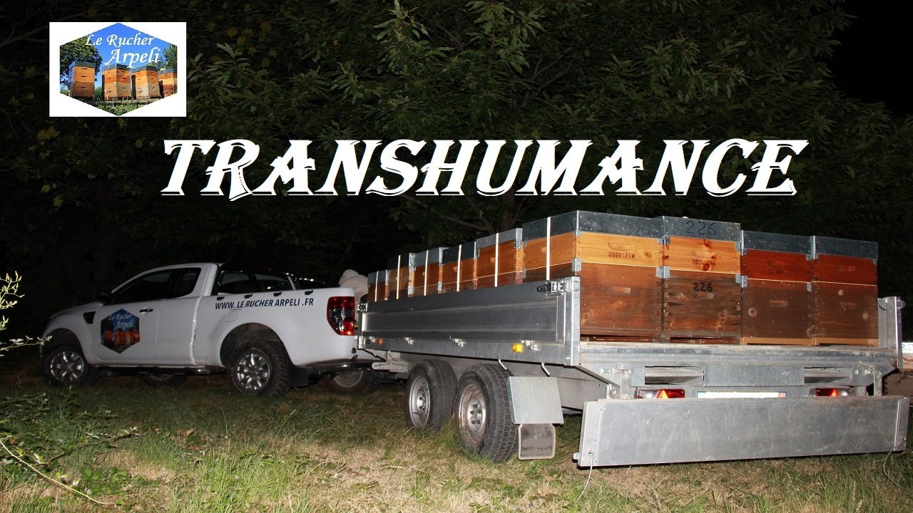 APICULTURE. E14 - Retour des Abeilles vers le Sud |Transhumance des ruches 3e PARTIE