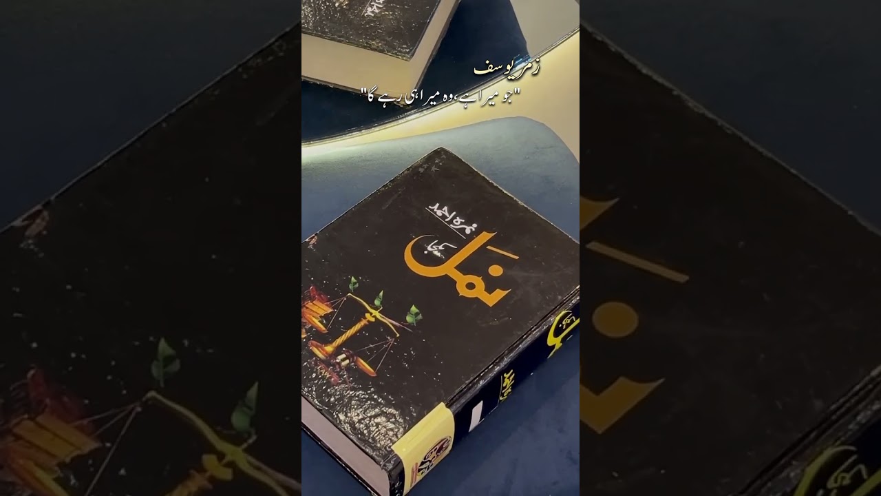 strong female lead in urdu novels
