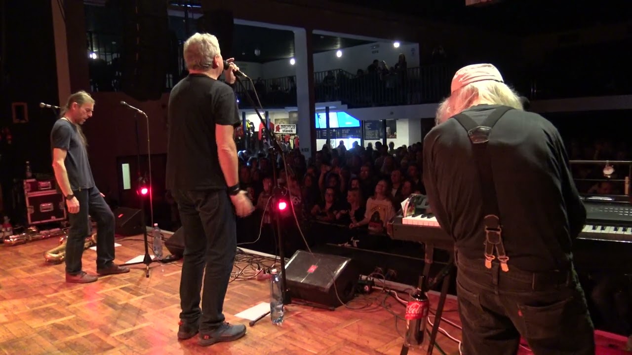 Gorila - Brutus - 28.12.24