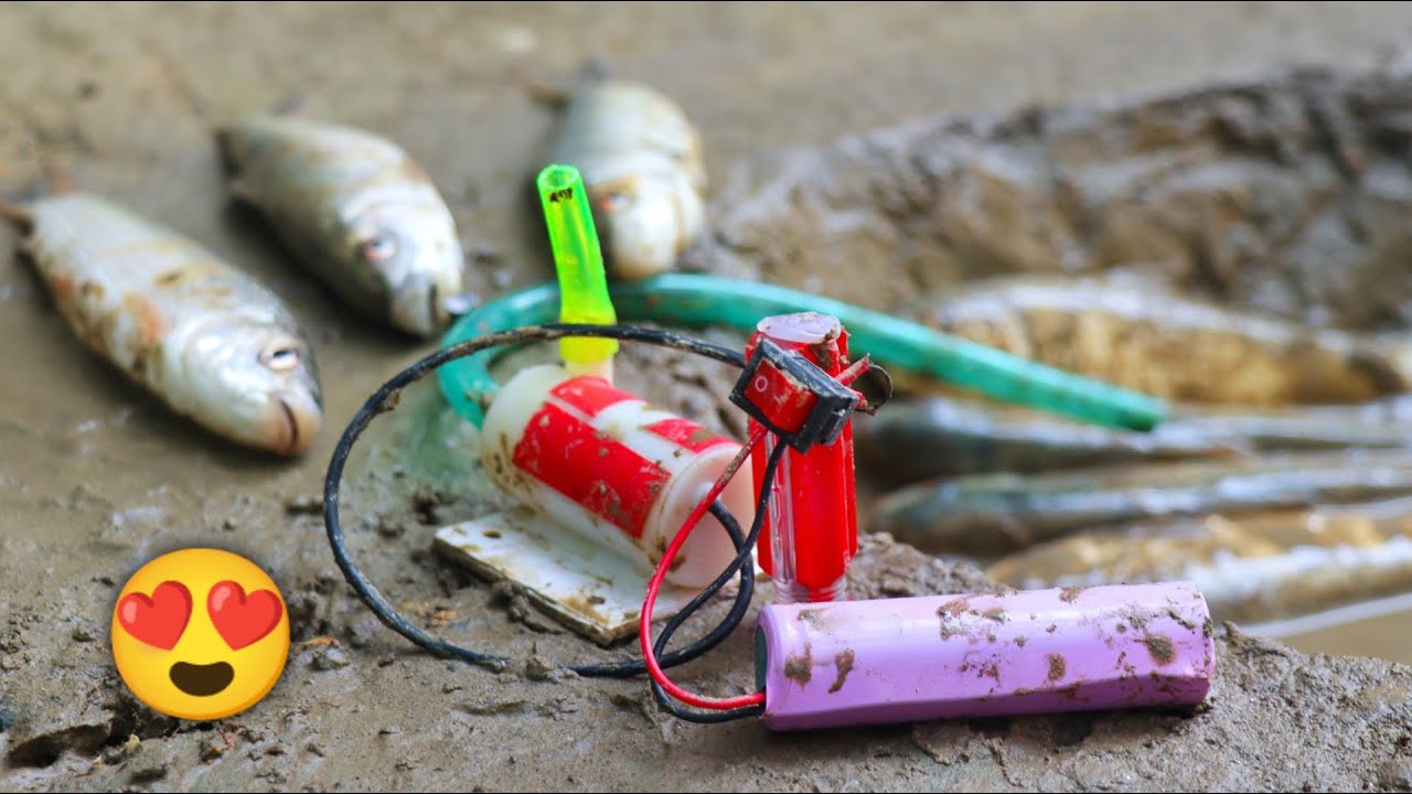 Diy Powerful Mini Water Pump Catch Fish The Pond ! Science Project ! Water Pump Project