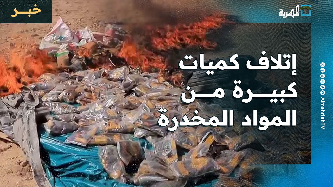 قوات الجيش تتلف كميات كبيرة من المواد المخدرة في مارب والوديعة