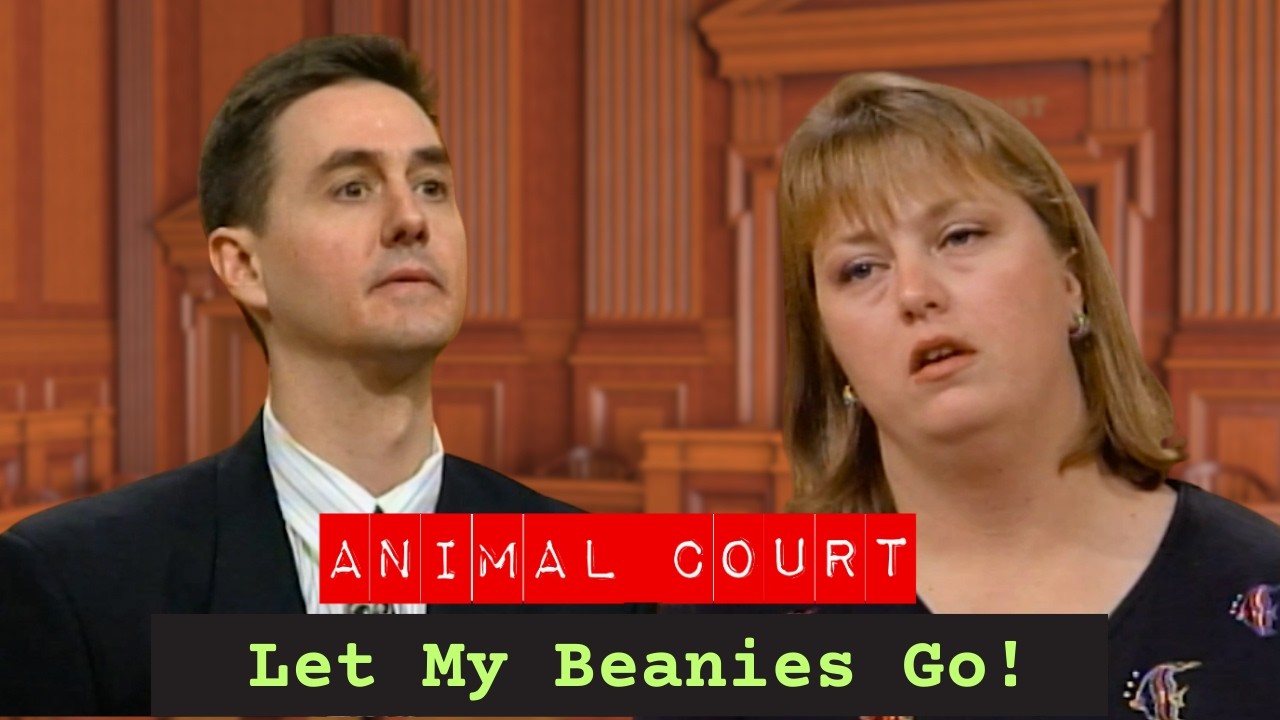 Animal Court | Let My Beanies Go!