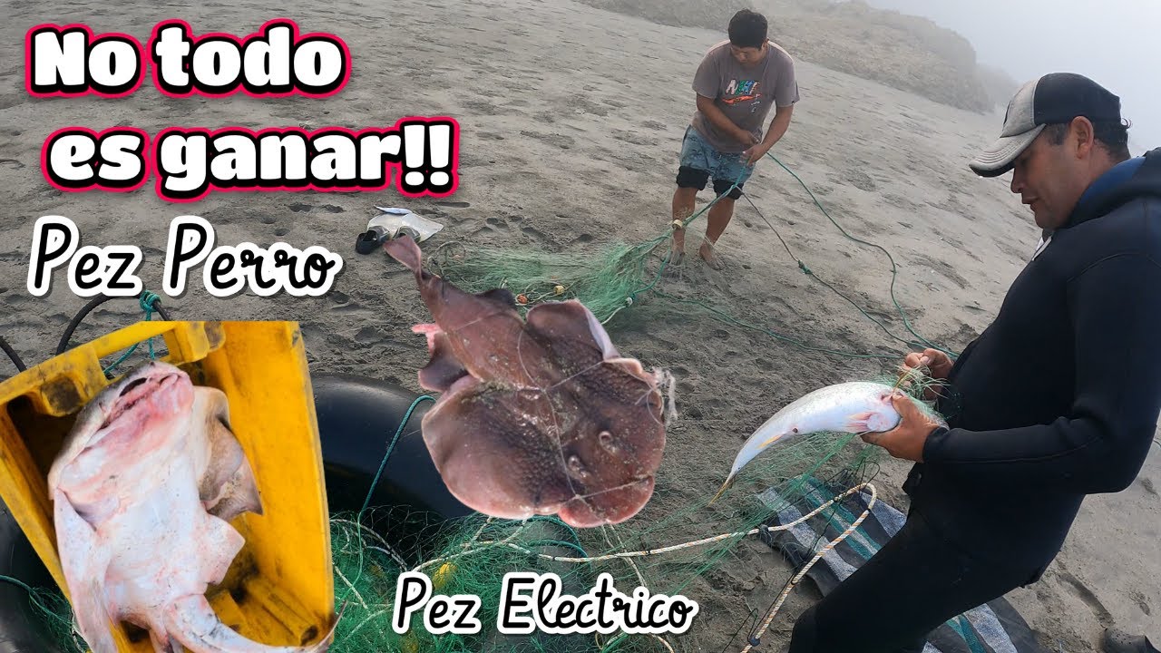 Pesca Extrema,Todo no es ganar!!