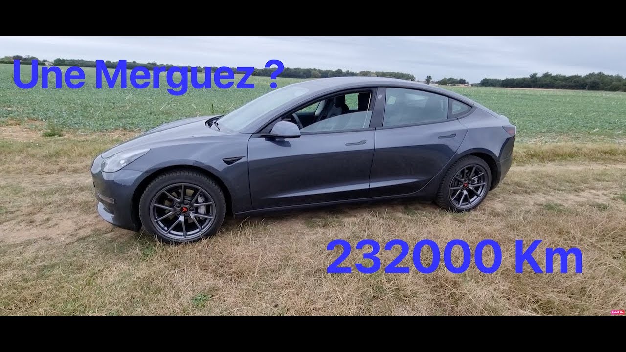 J'ai acheté une Tesla Model 3 Dual motor 450 Cv avec 232000 Km - Tesla Model 3 with 232,000 Km