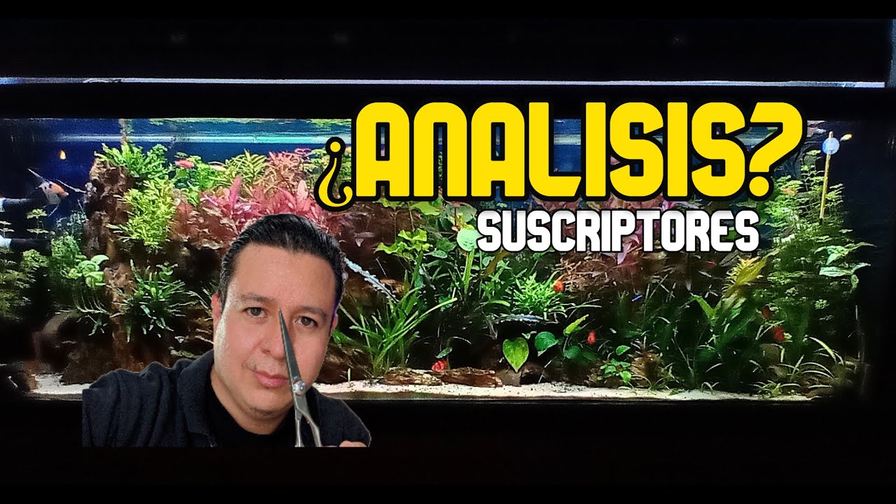 ANALIZÓ TU ACUARIO?