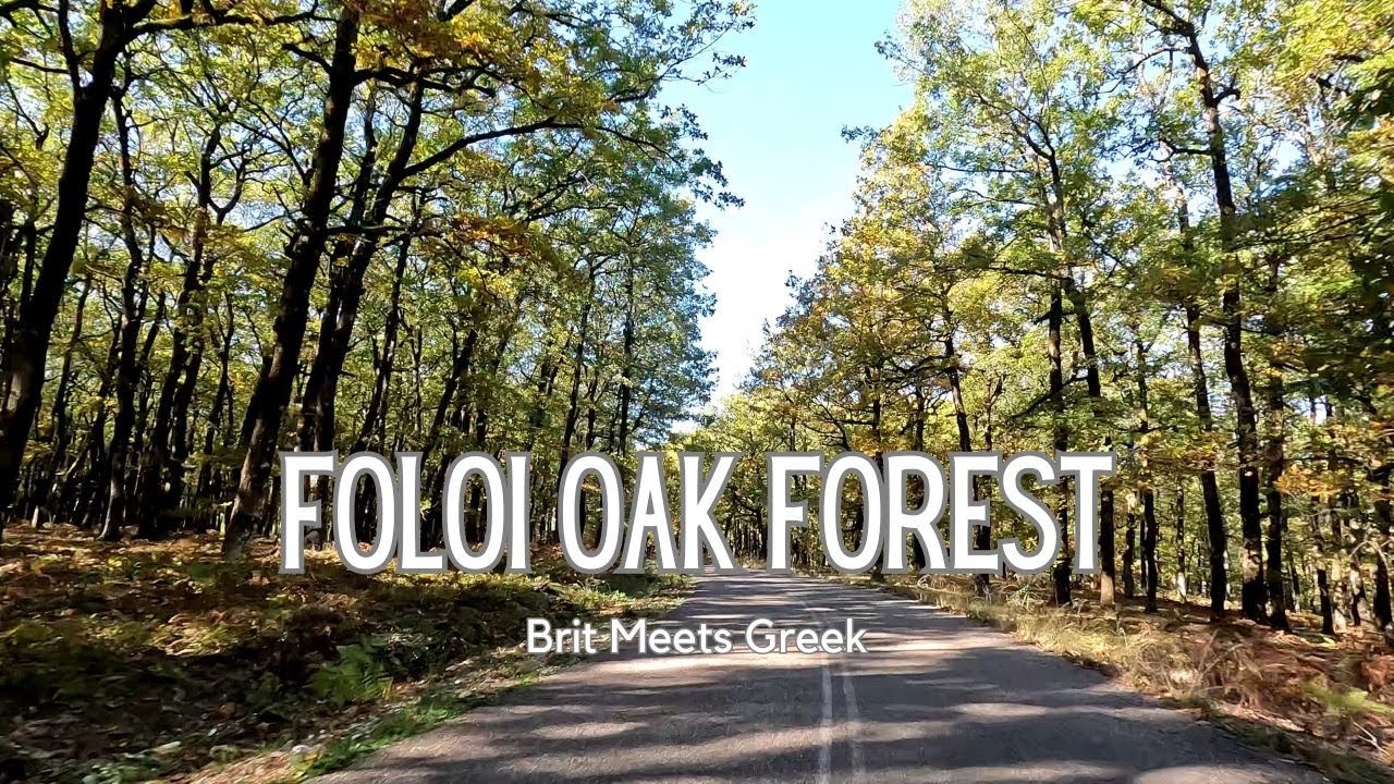 Enchanting Exploration of Foloi Oak Forest | Greek Nature Adventure