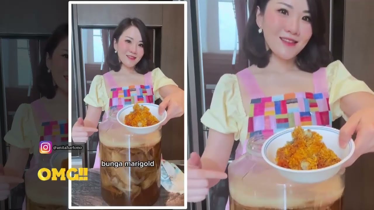 CEK FAKTA KOMBUCHA - TRANS 7