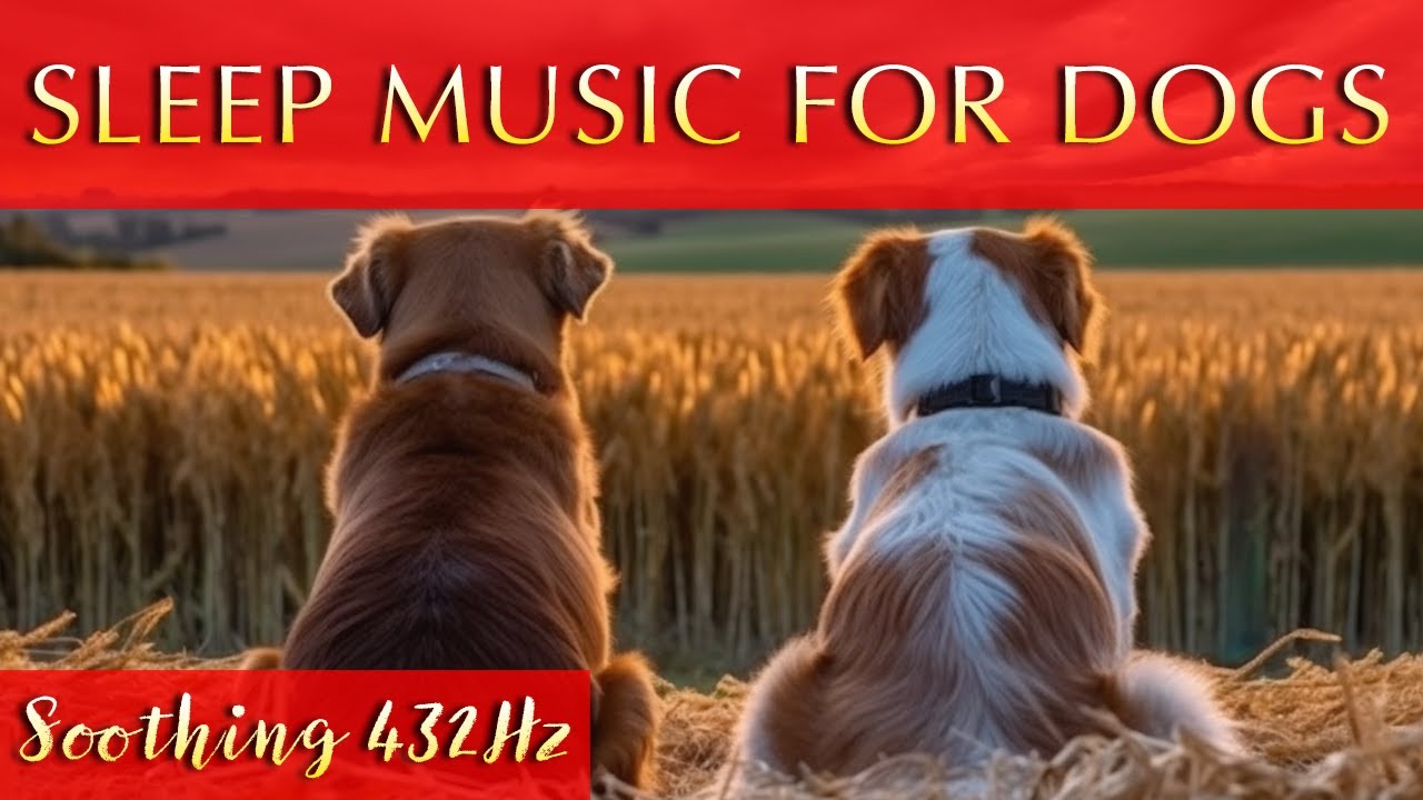 Sleep Music for Dogs and Humans Black Screen | 432Hz Calm
