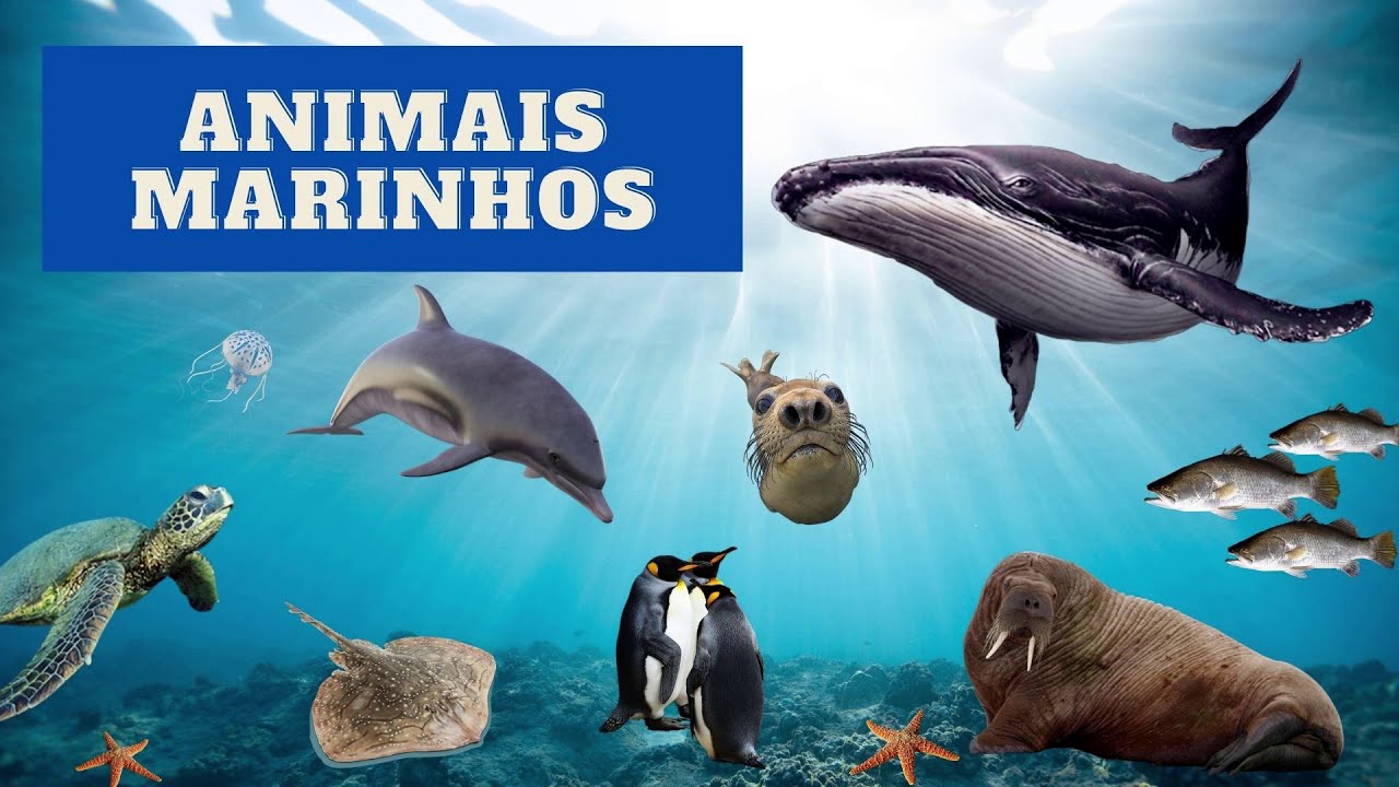 SOM DA NATUREZA: NOMES E SONS DOS ANIMAIS MARINHOS