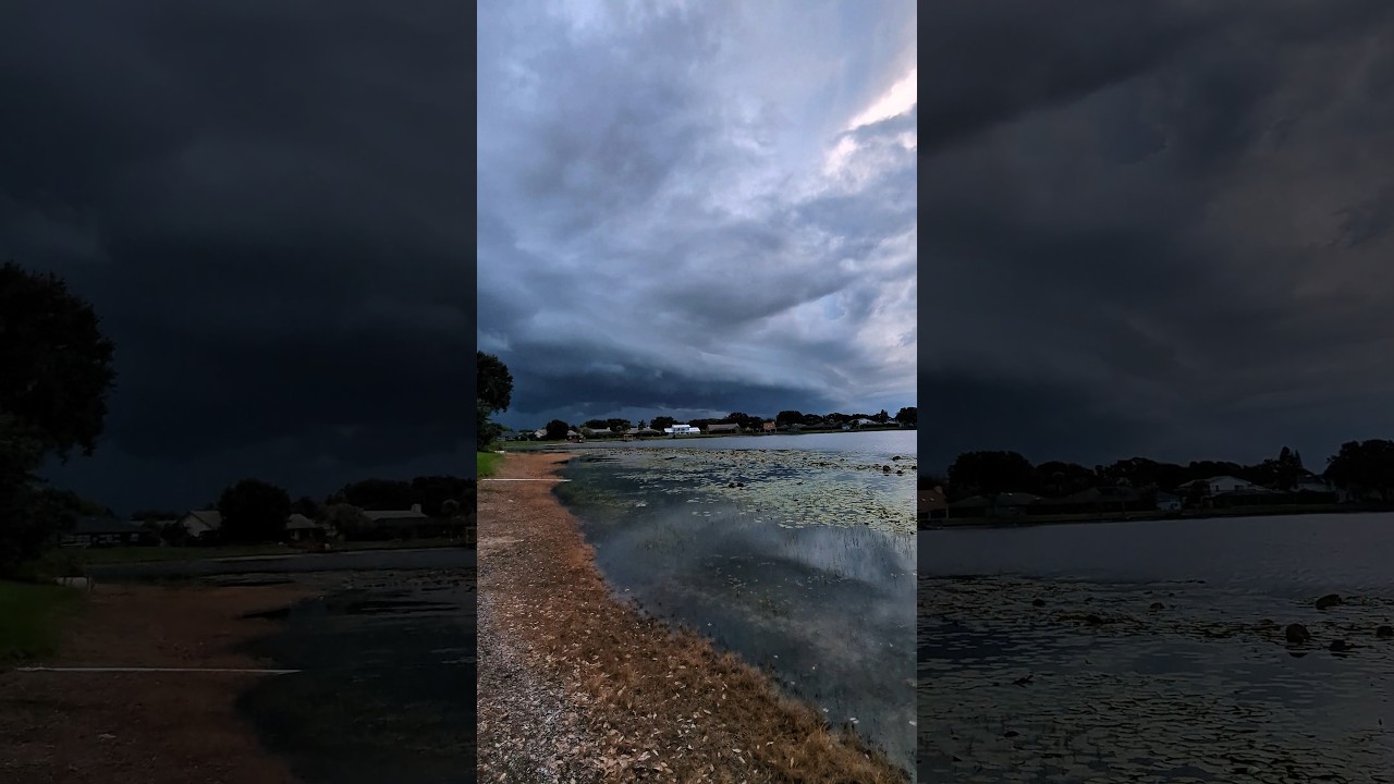 Majestic Shelf Cloud approaches! #shelfcloud #stormyweather #clouds #weather #florida  8-11-24