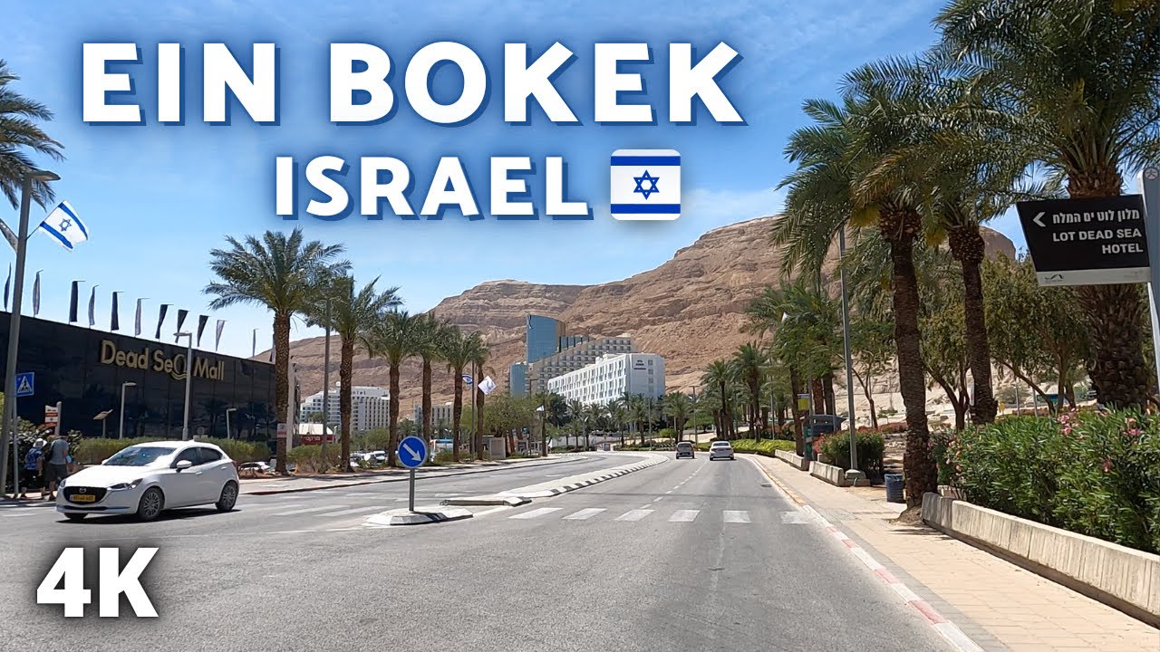 [4K] ROAD TRIP - NEGEV DESERT → EIN BOKEK | ISRAEL