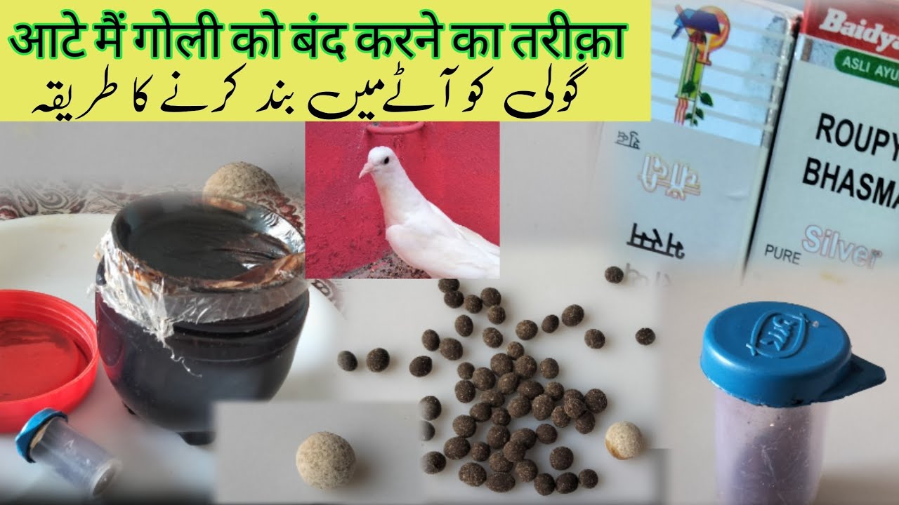 Bazi wale din kabutar Ko khulli Aur bund Goli Kesy lagayen Goli bund Karne ka tarika video end tak