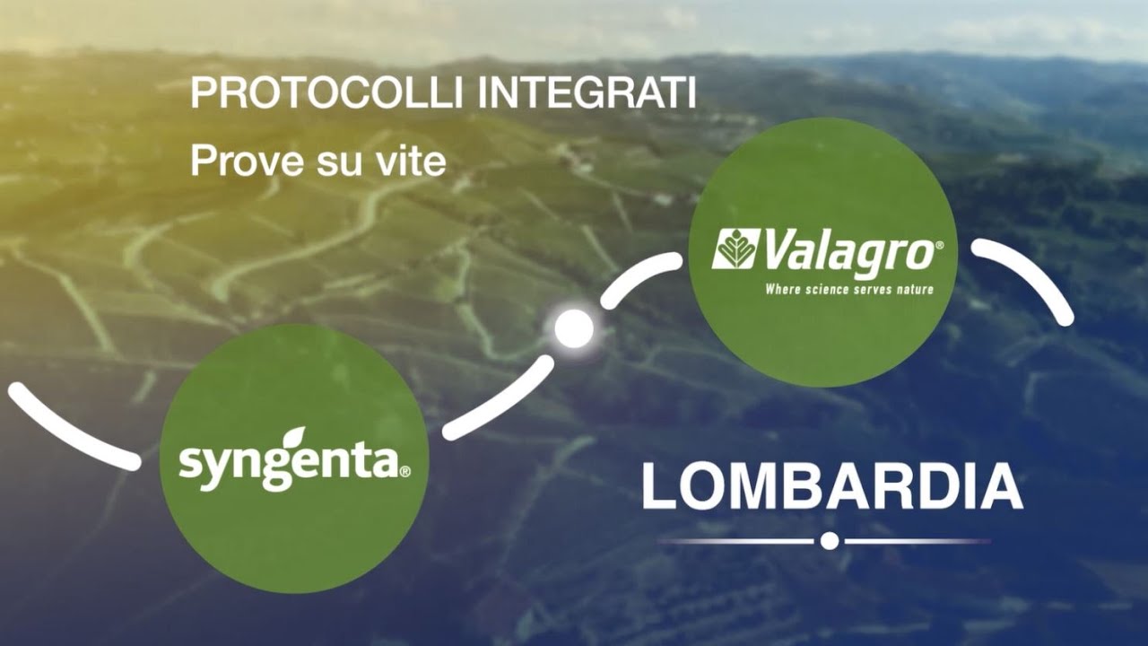 Protocolli integrati Syngenta-Valagro 2023 – Prova su vite: Lombardia