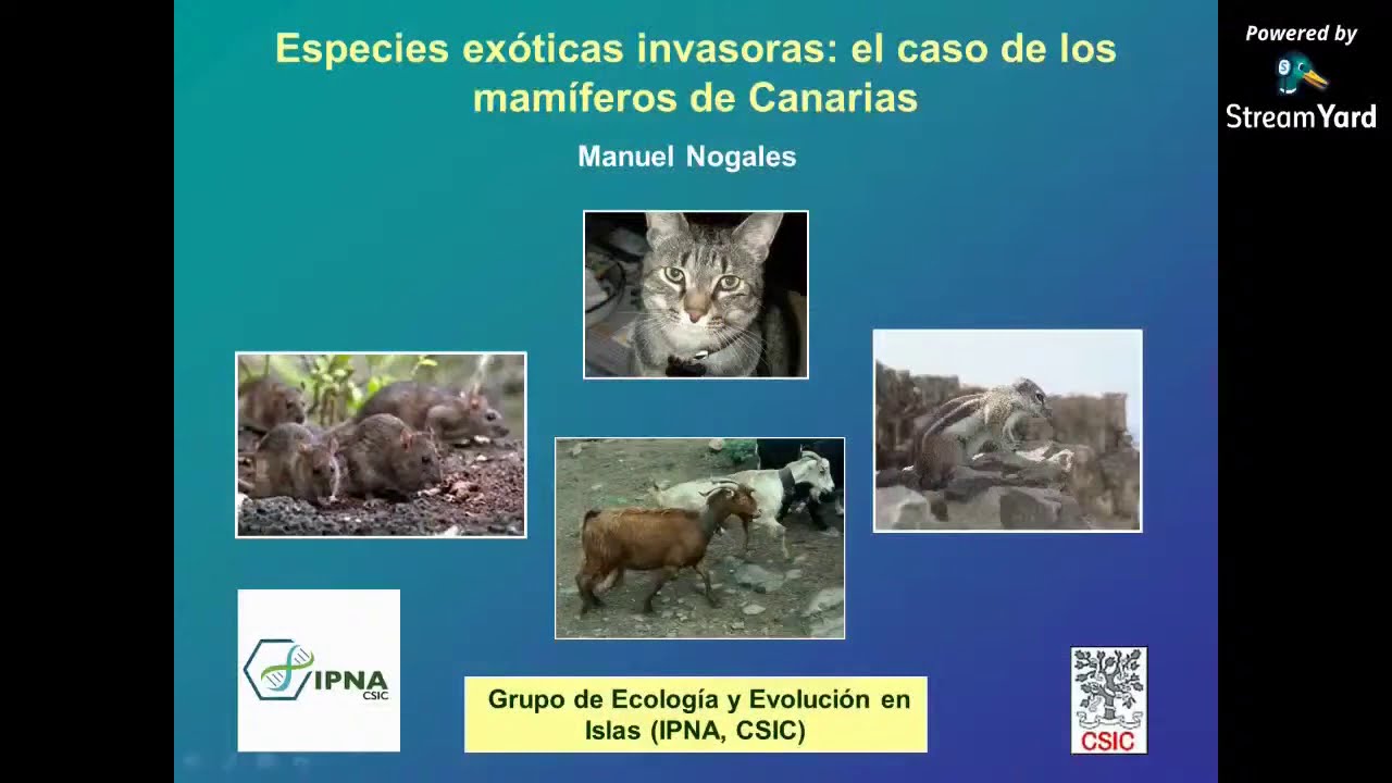 Especies exóticas invasoras en Canarias - Semana de la Ciencia y la Tecnología CSIC 2020
