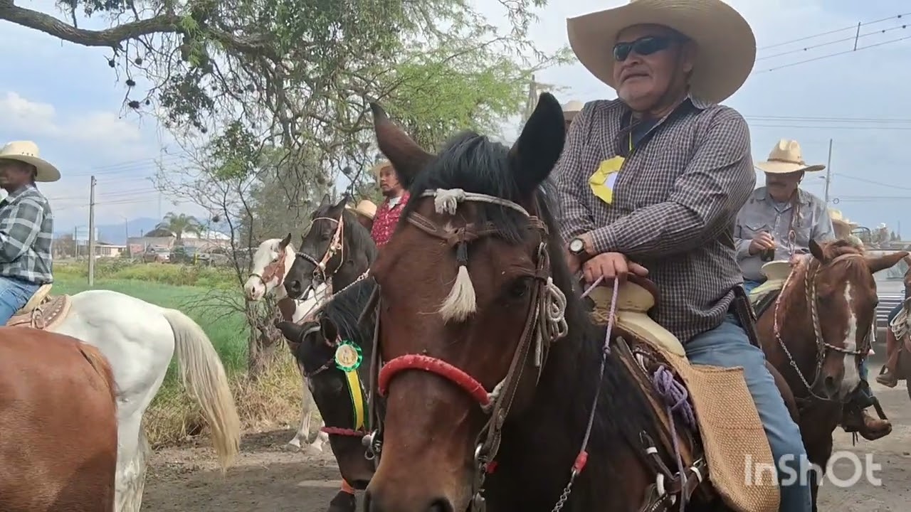 Cabalgata de la sienda nueva marzo 13 2026 