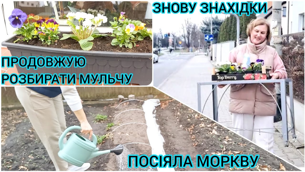 ПОДАРУНОК ВІД ПІДПИСНИЦІ🥰🍅Цікава ЗНАХІДКА🌷Нові КВІТОЧКИ#город#городвпольщі#сад#квіти#розсада#овочі