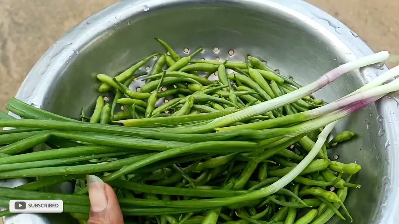 आज मैने बनाई सोगरी की कढ़ी सबने खूब खाई 
