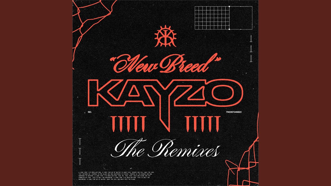 THE SICKNESS [RZRKT Remix]
