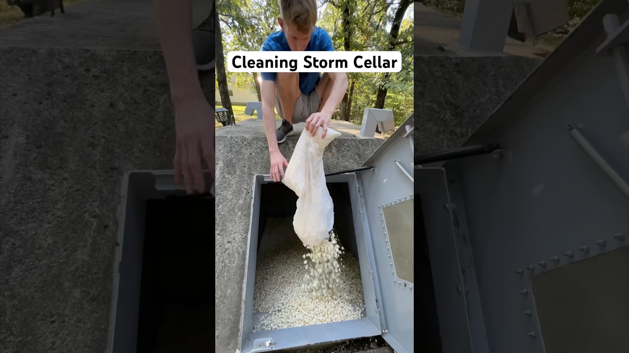 Cleaning Storm Cellar For Tornado Season #shorts
