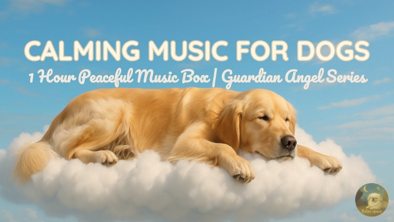 1 Hour Peaceful Sky Music Box – Gentle Melodies for Calm Dogs | Guardian Angel Vol 1