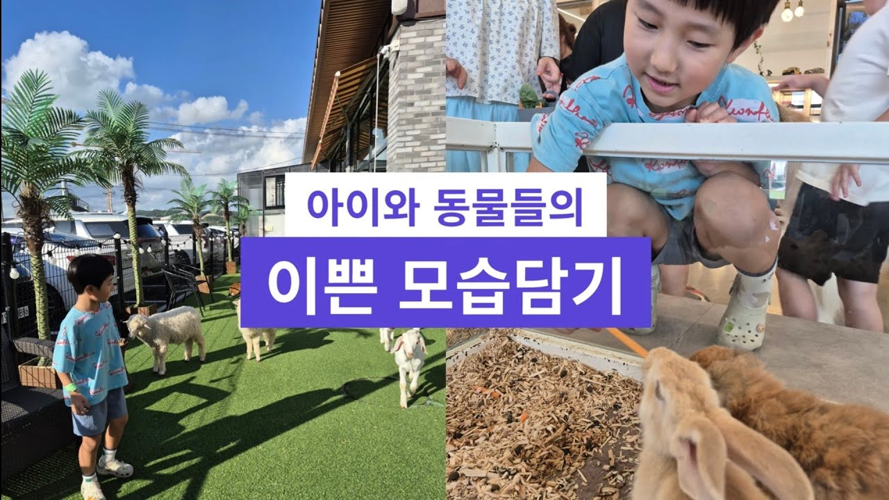 평택 애니멀클럽 동물 체험 카페
