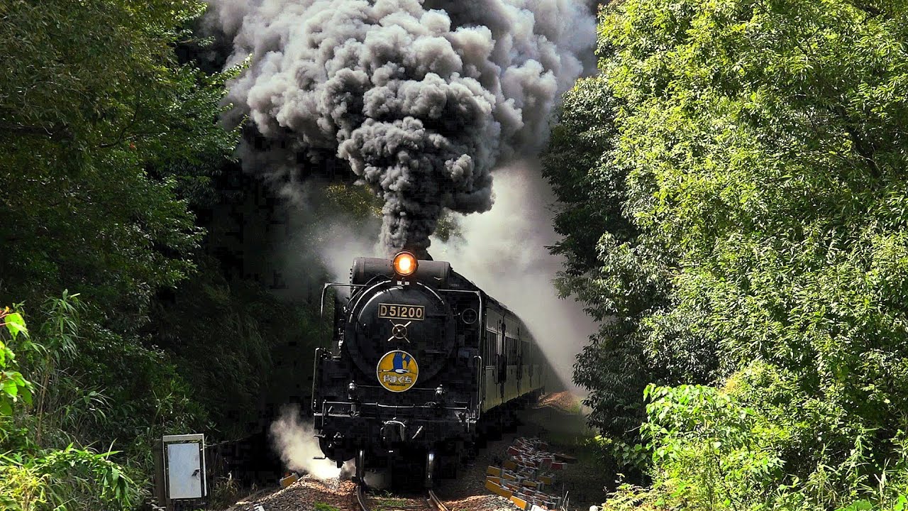 【初秋の爆煙】 SLやまぐち号 D51200号機 　Japanese Steam Locomotive D51 【蒸気機関車】