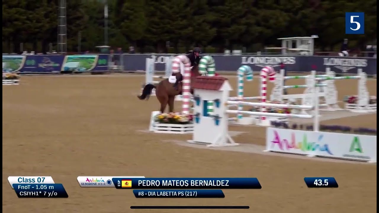 DIA LABETTA PS (Diablue PS / Cento) – 2021 Mare – January 2026 CSIYH Sunshine Tour 2