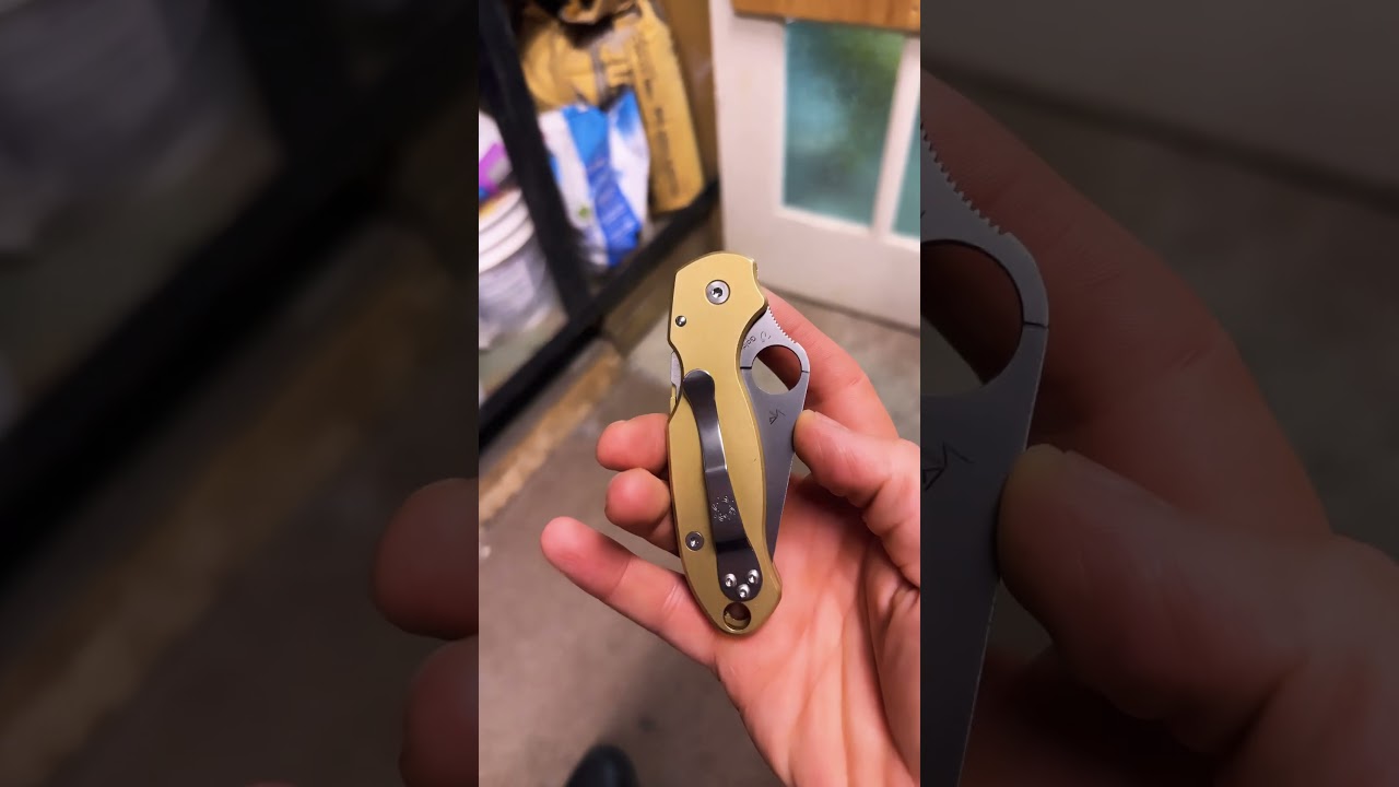 Para 3 in full brass #knives #knifecollection #edc #spyderco