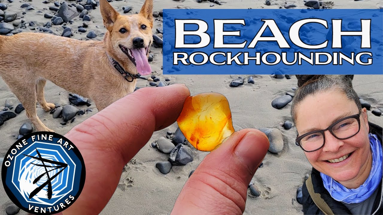 Agates and Fossils Beach Rock Hounding!