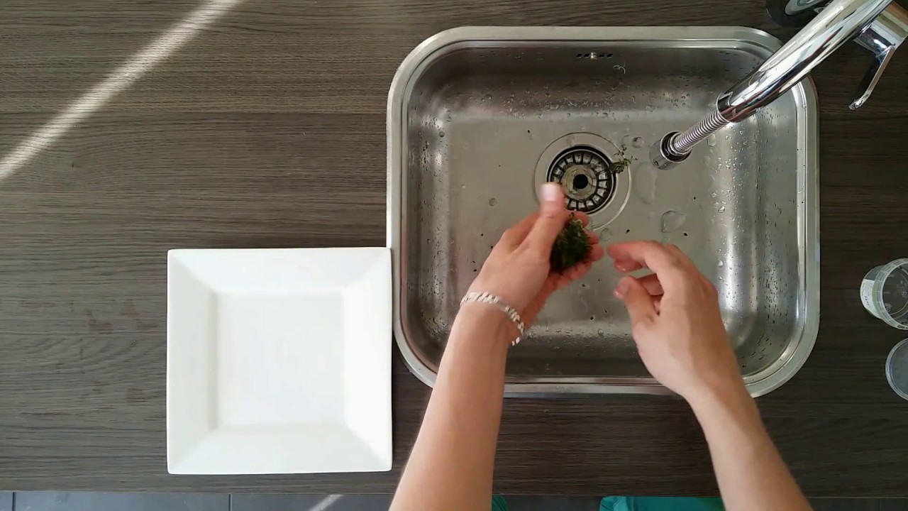 Aquaplantsonline - How to... In Vitro behandeling/In Vitro plant treatment