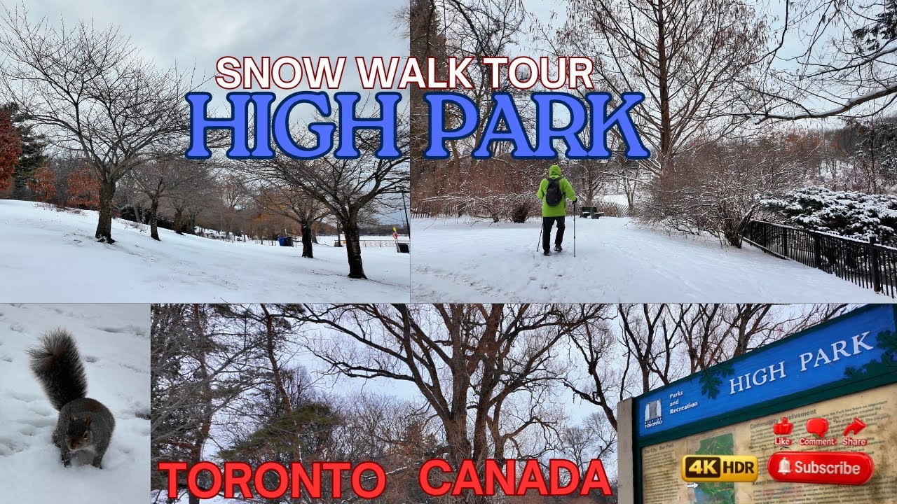 From Cherry Blossoms to Snow ❄️🌸 | High Park Toronto Winter Walk 4K