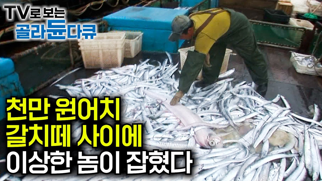 해산물만 먹을 줄 알았어? 생선 질린 선원들에게 고기반찬 차려줬더니｜선장 밥상만 따로 차리는 이유｜대박 아님 쪽박이라더니. 마지막 한방에 천만 원어치 잡았다｜극한직업｜#골라듄다큐