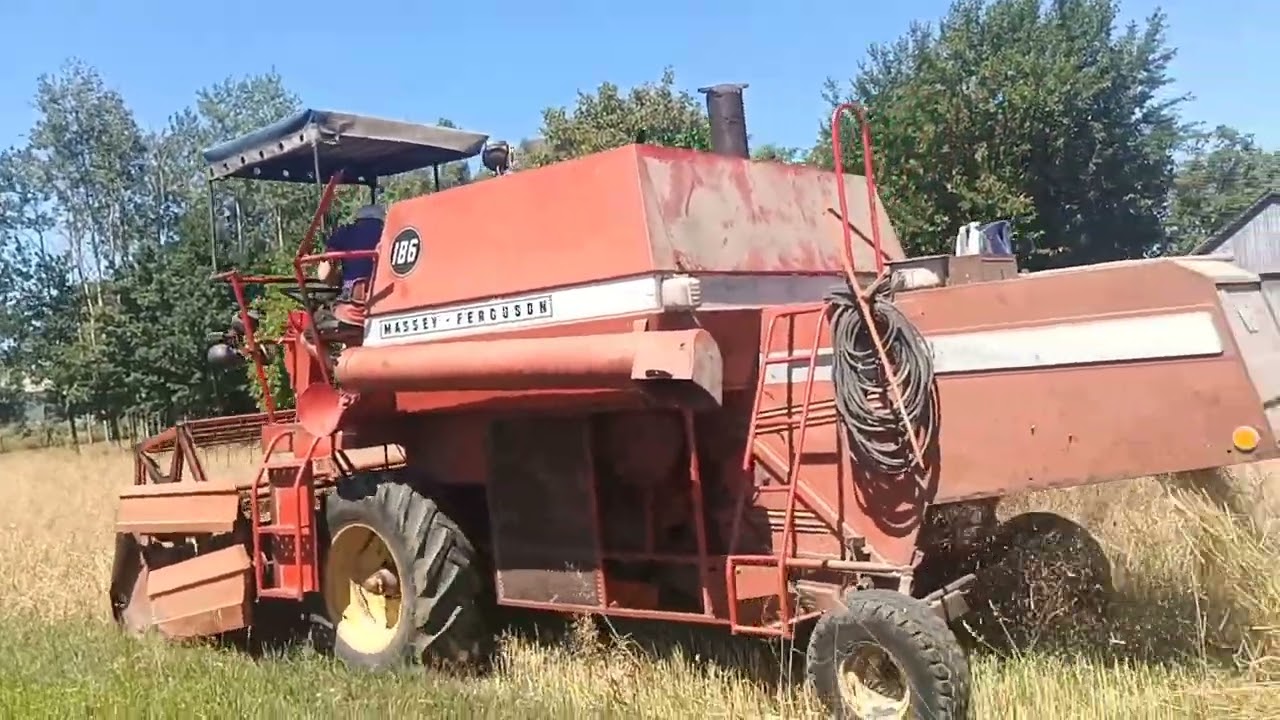 Жнива 2022. Перший виїзд та перші регулювання комбайна Massey Ferguson