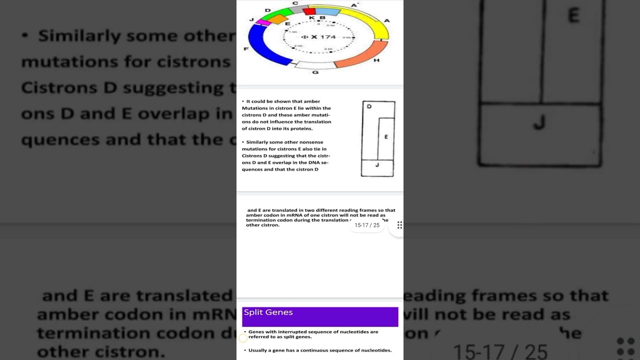 Molecular biology and genetics unit -1 Overlapping genes and split genes
